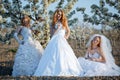 Brides Royalty Free Stock Photo