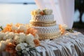 Brides gold wedding ring on a white pillow, amidst a backdrop of rings