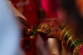 Brides hands with ring showing. indian wedding Royalty Free Stock Photo