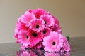 Brides Pink Flowers Royalty Free Stock Photo