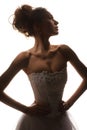 Brides silhouette Royalty Free Stock Photo
