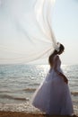 Brides silhouette Royalty Free Stock Photo