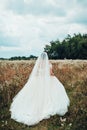 Brides walk on their wedding day, couple walk on their festive and touching day