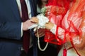 Room Dresses the Ring for the Bride, close-up. Newlyweds exchange rings, groom puts the ring on the bride`s hand in marriage Royalty Free Stock Photo