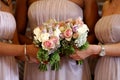 Bridesmaids Royalty Free Stock Photo