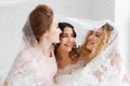 Bridesmaids and beautiful bride covered by veil standing in loft room interior. Close-up portrait Royalty Free Stock Photo