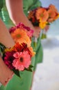 Bridesmaids bouquets Royalty Free Stock Photo