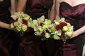 Bridesmaids holding their wedding bouquets Royalty Free Stock Photo