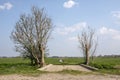 Bridge, access made from concrete tiles to a meadow between two old trees in an agricultural landscape in Holland and a faraway