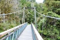 View of bridge across Clearwater River heading to Lake Matheson in Fox Glacier, New Zealand