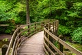 Bridge along a Forest Path