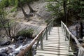 Bridge along the trail to the Torres del Paine at the Torres del Paine National Park, Chilean Patagonia, Chile