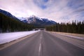 Bridge for animals in Banff National park