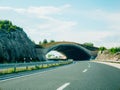 Bridge for animals on the road. Green bridge over the road