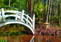 Bridge and Asian Japanese Temple Pagoda Royalty Free Stock Photo