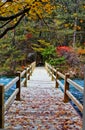 Bridge in autumn