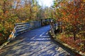 Bridge in Autumn Forerst Royalty Free Stock Photo