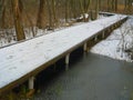 Bridge in autumn forest Royalty Free Stock Photo