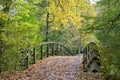Bridge in autumn forest, colorful foliage on the tree, path through deciduous trees, landscape Royalty Free Stock Photo
