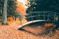 The bridge in the autumn forest.