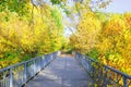 Bridge in autumn park