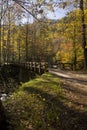 Bridge, Autumn, Tremont, Smokies NP Royalty Free Stock Photo