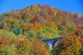 Bridge in autumn forestscene