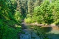 Bridge Below South Falls Royalty Free Stock Photo