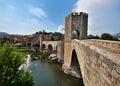 Bridge of Besalu, Spain