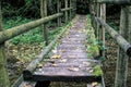 Bridge on a Black Forest hiking trail through the Wutachschlucht, Germany Royalty Free Stock Photo