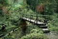 Bridge on a Black Forest hiking trail through the Wutachschlucht, Germany Royalty Free Stock Photo