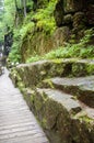 Flume Gorge in Lincoln New Hampshire White mountains Royalty Free Stock Photo