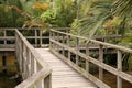 Bridge - Botanical Gardens, Singapore