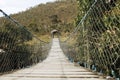 Bridge in bright forest. Natural composition. Brazil