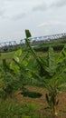 Bridge at bussy traffic in weekend holiday