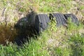 A bridge of car tires across a stream among green grass. Waste upcycling concept