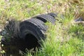 A bridge of car tires across a stream among green grass. Waste upcycling concept