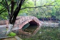 Bridge in chinese park.