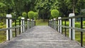 Bridge in Japanese garden in Rizal Luneta park, Manila, Philippines Royalty Free Stock Photo