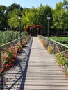 Bridge from Comana Advenure Park Royalty Free Stock Photo