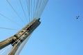 Bridge construction of the bridge with pylons Warsaw Royalty Free Stock Photo