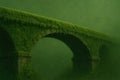 A bridge covered with moss in a thick fog. Royalty Free Stock Photo