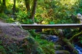 Bridge crossing a small river in middle of a green forest Royalty Free Stock Photo