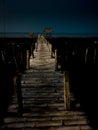 Bridge in the dark sea