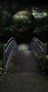 Bridge dark star over rural road landscape Royalty Free Stock Photo