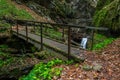 Bridge at Devil`s passage Royalty Free Stock Photo