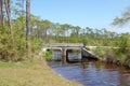 Bridge on the Edge of the Pine Forest along the Gulf Coast