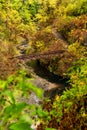 Bridge in Fall Color in Oregon Forest at Silver Falls State Park Royalty Free Stock Photo