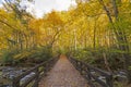 Bridge into the Fall Forest Royalty Free Stock Photo