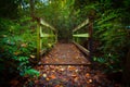 Bridge in Fall Royalty Free Stock Photo